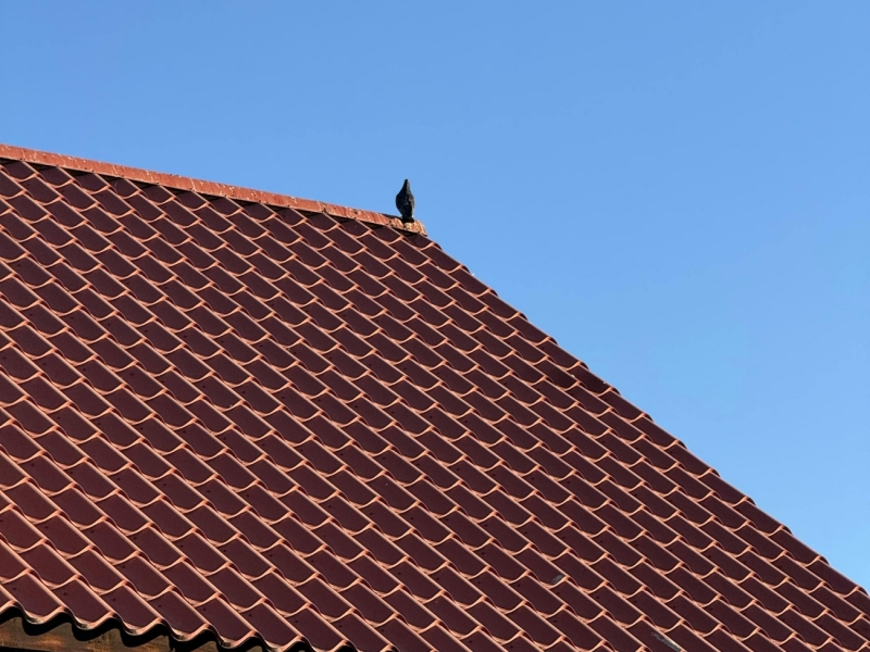 Guida completa al rifacimento tetti residenziali: quando, come e perché farlo